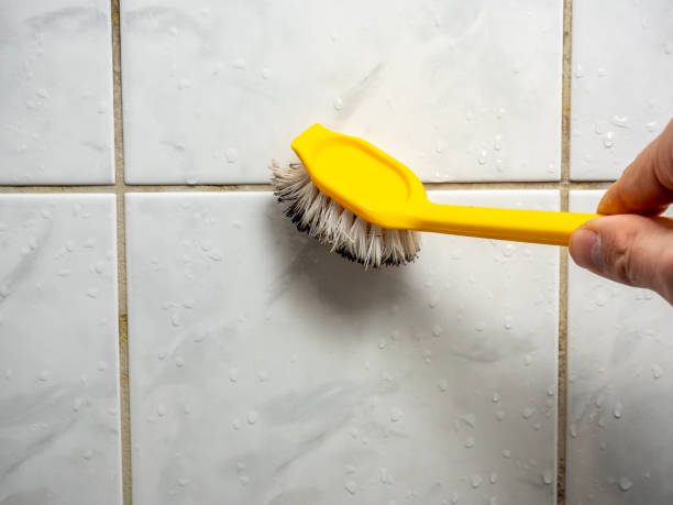 Best Post-Remediation Services in Haslett, MI