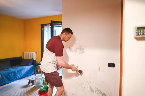 Haslett, MI Mold Remediation Company